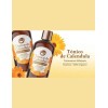 Tónico De Caléndula Con Retinol 370ml Fitomex