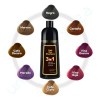 Shampoo Tinte Instantaneo 15min Cubre Canas Jengibre Full