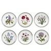 Portmeirion Botanic Garden Salad Plate 8.5"