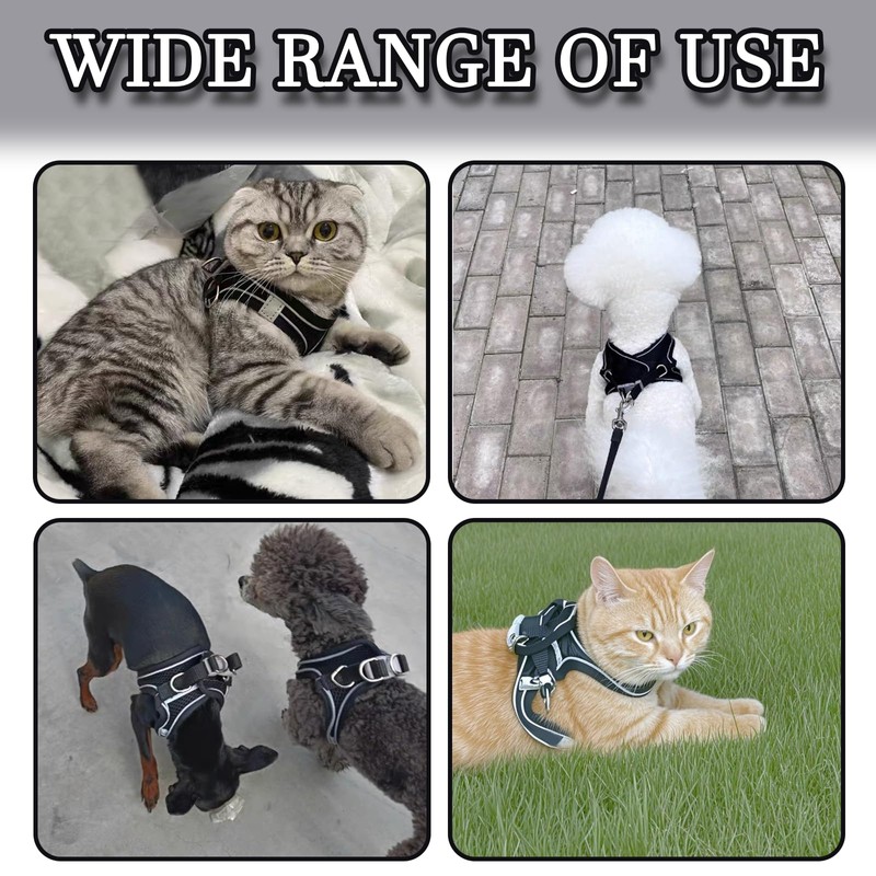 Reflective Anti-Pull Dog Harness & Leash Set | Adjustable Step-in