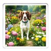 Springer Spaniel Dog Coaster Set. 4 different Springer Spaniel Dog