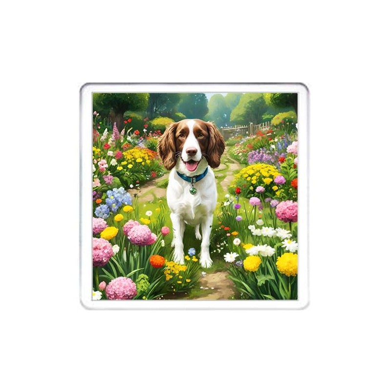 Springer Spaniel Dog Coaster Set. 4 different Springer Spaniel Dog