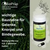 BioPräp Hyaluronic Acid Capsules with MSM | 60 Cellulose Capsules