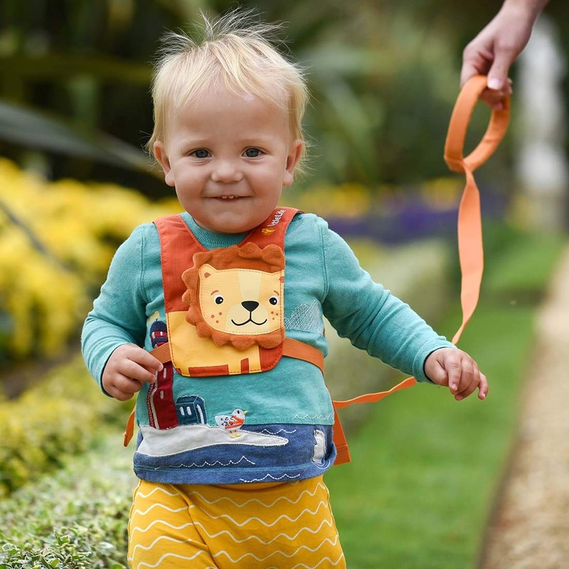LittleLife Child & Toddler Safety Walking Harness & Reins, Lion