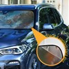 Car Windshield Sun Shade Playful Antics of Squirrels Foldable Car