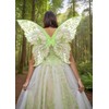 Fairy Wings for Adults and Girls，Fairy Costume Set with Floral