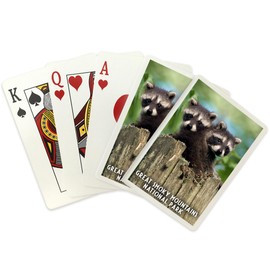 Lantern Press Raccoons, Great Smoky Mountains, TN (52 Playing Cards, Poker Size Card Deck with Jokers)