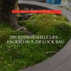 Moss Spores for Bonsai Trees - Covers Up to Three