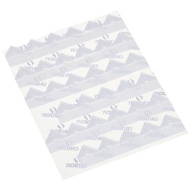 Canson Self Adhesive Photo Corners, Peel-Off Archival Quality, White, 252-Pack