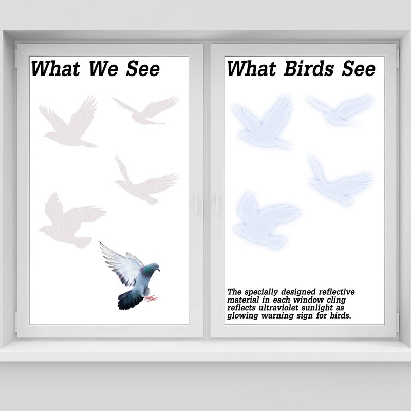 Boao 40pcs Large Anti Collision Window Stickers Bird Window Stickers