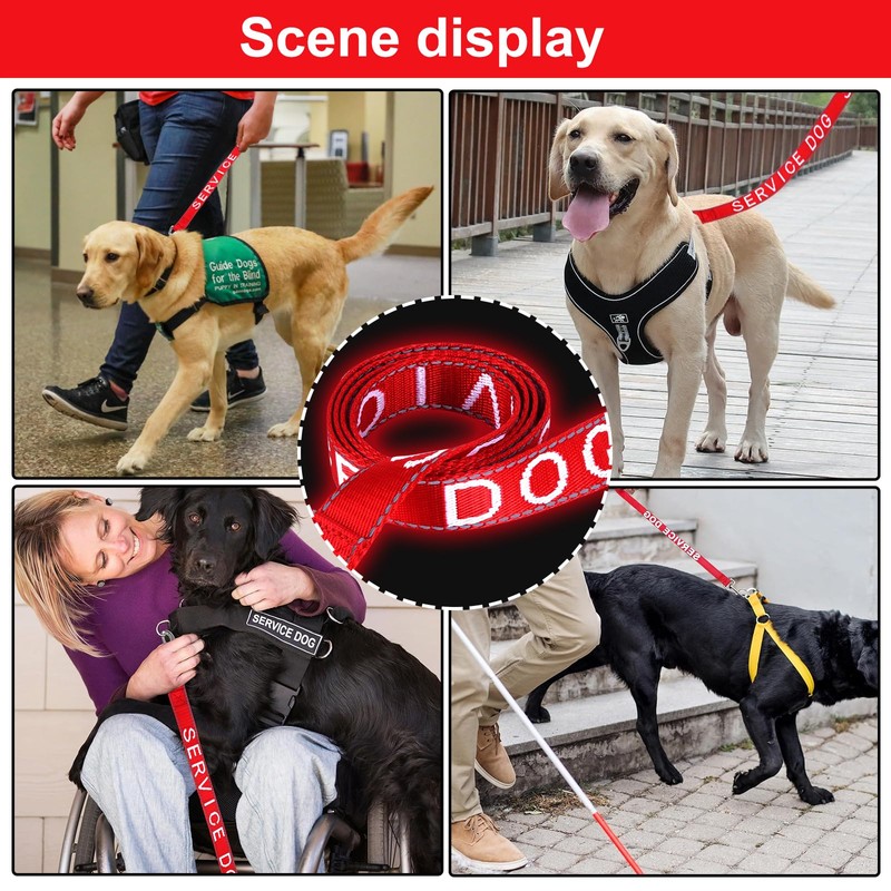 YeeBeny Service Dog Leash, Emotional Support Leash with Neoprene Handle