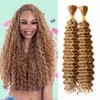 Braiding Hair, Boho Braids 20 Inch 2 Bundles Deep Water