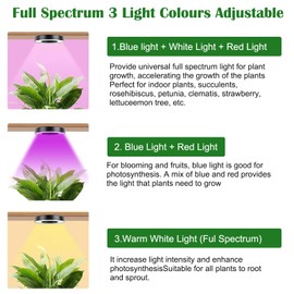4PCS Grow Light for Indoor Plants, 192 LEDs Red Blue White Full Spectrum Plant Light for Indoor Plants & Seed Starting, 10 Dimmable Level, Auto on Off, Timing 3 9 12hrs Plant Grow Lamp
