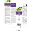 Olive (Olea europaea) Leaves Alcohol-Free Mother Tincture Naturalma | Liquid