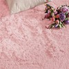 Aspire Homeware Rugs Living Room - Pink Area Rugs 60x220cm
