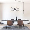 8 Lights Plug in Chandelier Black Hanging Lamp Plug-in Pendant