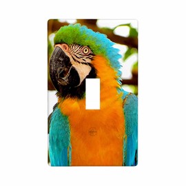 Moslion Green Yellow Parrots Single Toggle Covers Bird Feather Animal Tree 1 Gang Wall Plate Decor Light Switch Covers Bedroom Home Kitchen