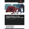 Segmentation of the hepatic arteries and veins: Magnetic Resonance Imaging