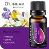 O'linear Essential Oils 6 Blends Set - Perfect for Humidifiers