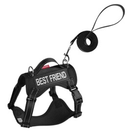 Cat Harness Set - Walking Escape Proof Adjustable Cat Vest Harness,Soft Lightweight Training Collar Adjustable Anti-Escape Pet Supplies for Running Walking Outdoor