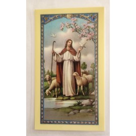 Comfort for those who Mourn - Laminated  Holy Cards
