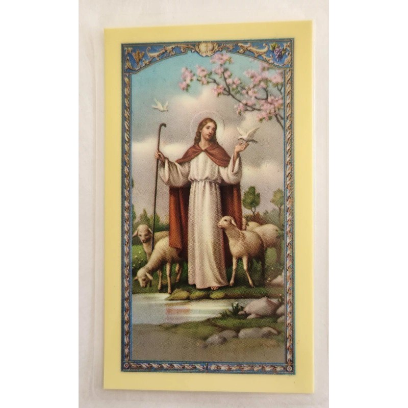 Comfort for those who Mourn - Laminated Holy Cards