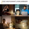 TOACSUCP Candle Warmer Lamp with 3 Bulbs, Adjustable Height Dimmable