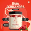Commons Hongos Adaptógenos - Hongo de Baya Schisandra 120 Cápsulas