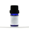 White Sage (Dry) Essential Oil / Aroma Oil, 0.2 fl