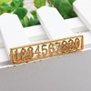 Acxico 1Pcs Mini House Miniature 1:12 Scale Set of Gold