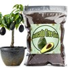 Organic Avocado Tree Potting Soil Mix 1qt, Enhance Growth and
