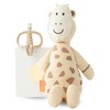 Matchstick Monkey Gift Set - Teether & Plush Toy -
