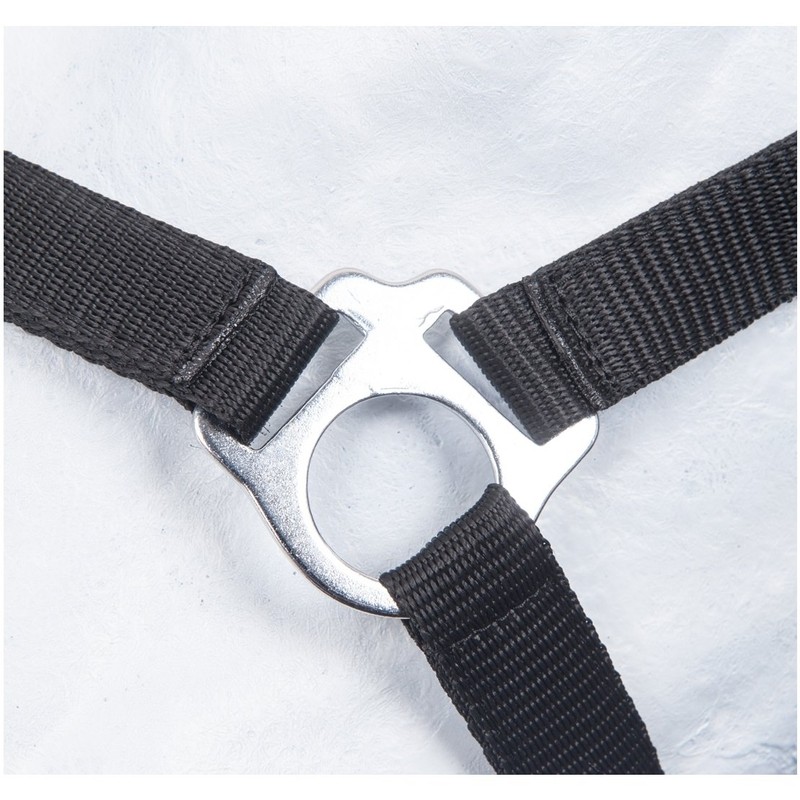 HKM by Reiterladen24 Basicline Headcollar Black Warmblood
