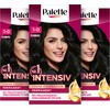 Palette Intensive Cream Colouration 1-0/900 Black (3 x 115 ml),