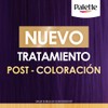 Palette Post Tratamiento para el cabello Intensive Color Creme 200ml