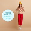 VerMints Organic Breath Mints GingerMint - Real Ginger Flavored Candies
