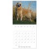Happy Golden Retriever (Wall Calendar 2026 12" x 24" /