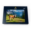 MyPuzzle Cow Grast on an Alpine Meadow in the Dolomites