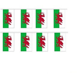 AES 12x18 Wales Welsh Dragon Rough Tex Knitted Bunting Flags Banner (8 Flags)