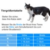 CEESC Large Cat Flap for Indoor/Outdoor Doors, Weatherproof, Rotating 4-Way