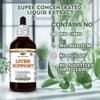 Liver Support Glycerite, Made in Hawaii, All Natural, Vegan, Lab