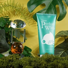 Altipia Herb Extract Sensitive Skin Moisturizing Cleansing Foam Whipping 120ml / 허브추출물 민감피부 피부보습 클렌징폼 휘핑 120ml
