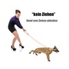 lynxking Recall Lead for Dogs, Dog Lead, Slip Lead for