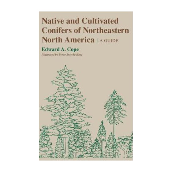 Native And Cultivated Conifers Of Northeastern North America