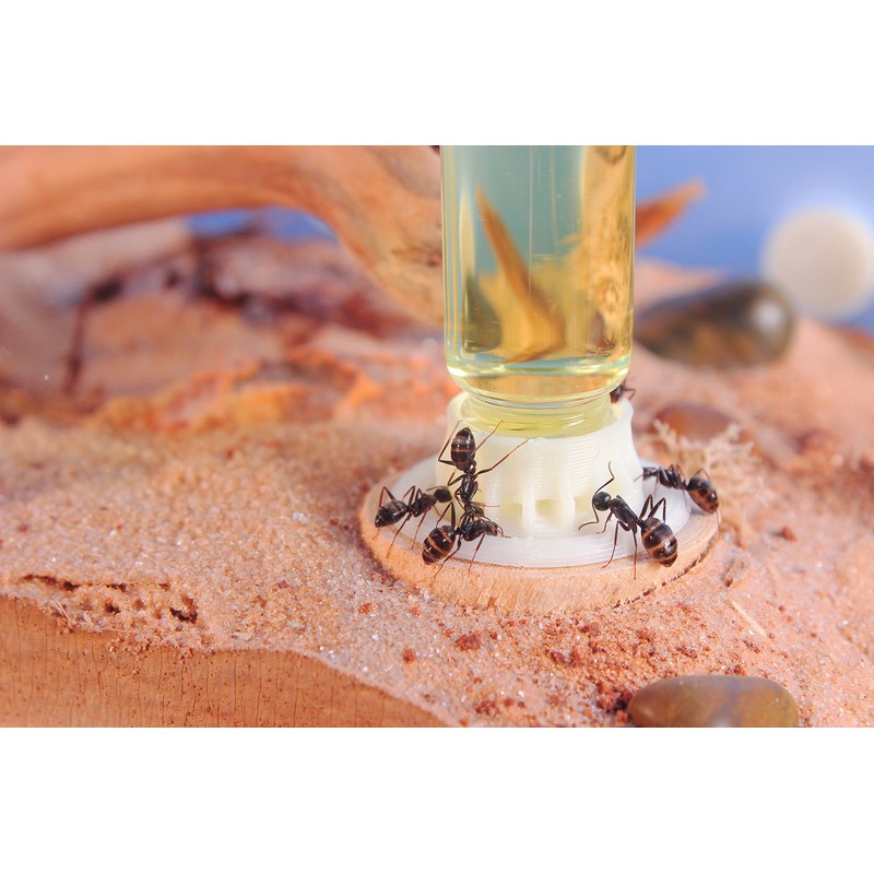 byFormica Liquid Feeder Mega - 10 mL, Set of 2