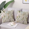 Coeufuedy Spring Decorative Pillow Covers 18 x 18 Inch Set