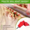 30 Pack Automatic Chicken Waterer Nipple Drinkers Poultry Feeders Screw