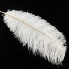 Happy Feather 10 pcs Ostrich Feathers Centerpiece 14-16 inch for