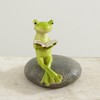 Kawabata Trading Figurine Reading Frog 1202PKC014