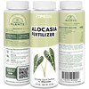 Alocasia Fertilizer, Complete Liquid Alocasia Plant Food, 8 oz (250mL)